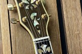 Gretsch 1973 Super Chet-9.jpg